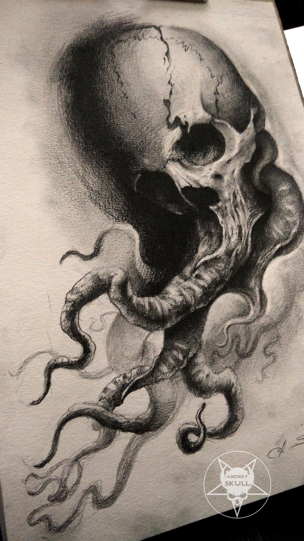 pic Skull With Octopus Tentacles Drawing tentacles skull by andreyskull on
