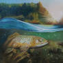 trout
