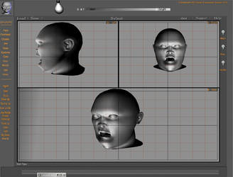 Virtual Facial Studio
