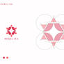 Redelisk Geometric Minimalist Logo Design