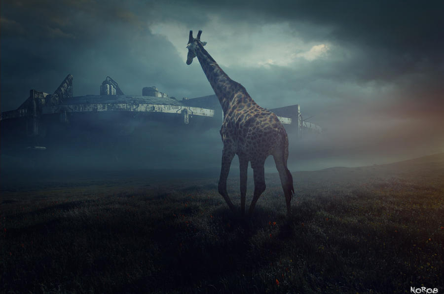 Animal Fear by noro8