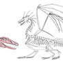 Dragon skeleton + facial muscles