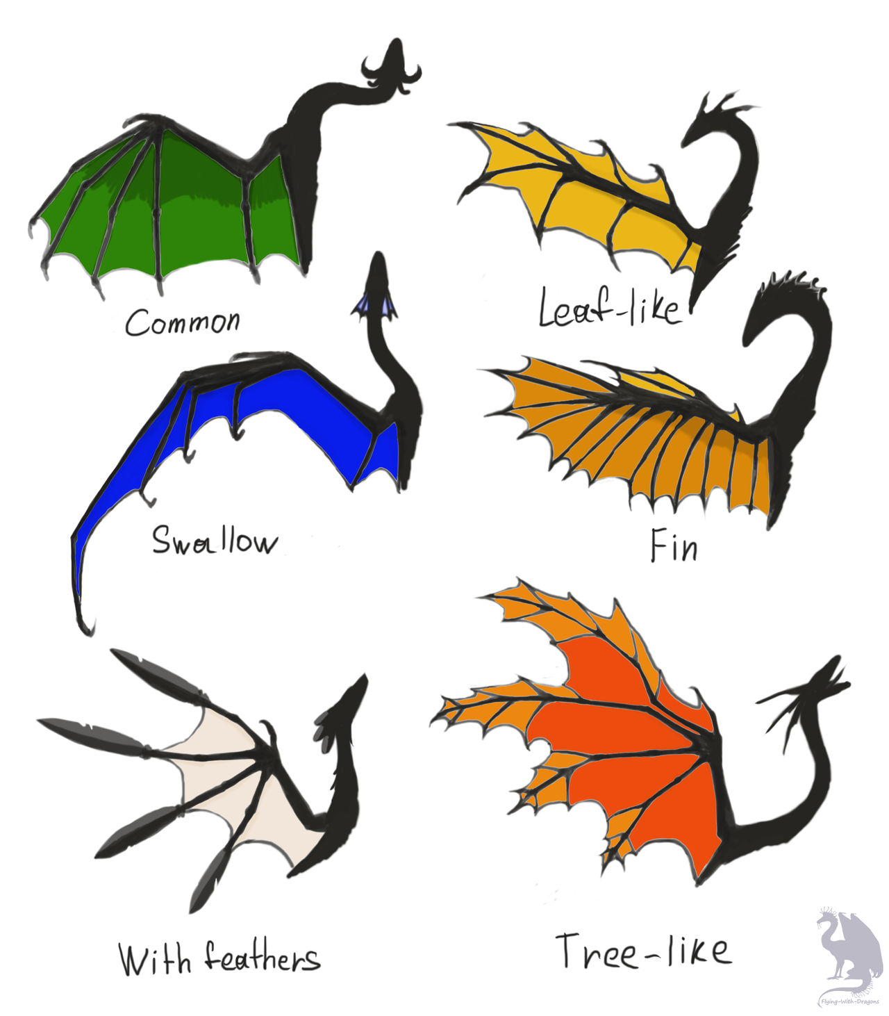 Dragon wings types by FlyingWithDragons on DeviantArt
