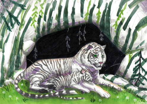 White tigers, HOMMIV