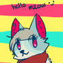 hello meow