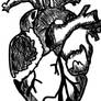 Rebuilding My Heart