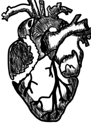 Rebuilding My Heart
