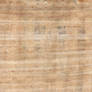 Papyrus texture - 02