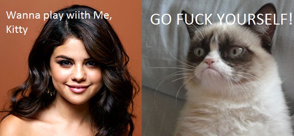 Grumpy cat hates Selena gomez