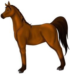 Horse