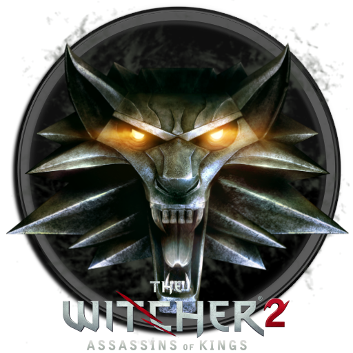 The Witcher 2 Assassin of Kings Icon by SnowCoveredPlains on DeviantArt