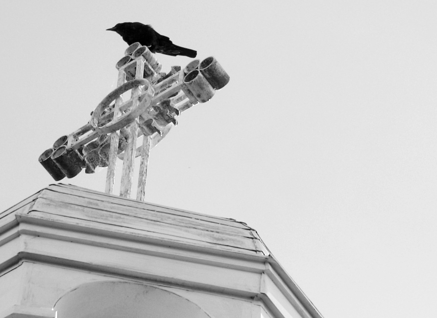 Oiseau de malheur by ethnoz on DeviantArt