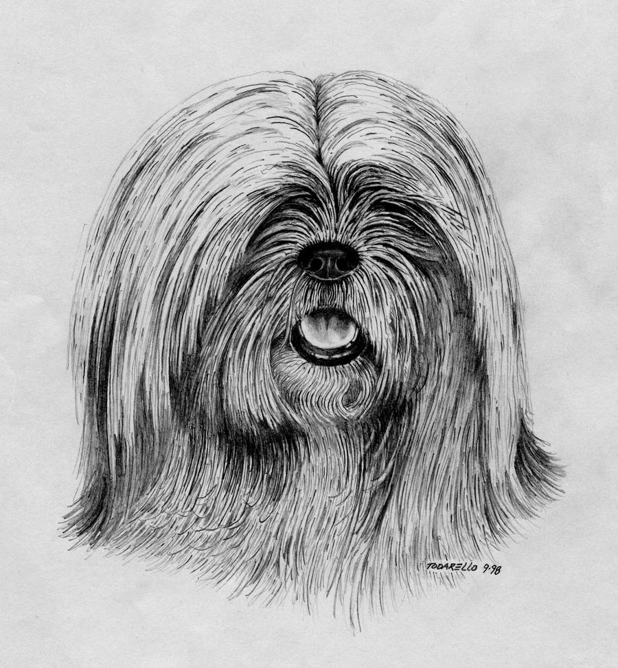 Dog 5. Pencil