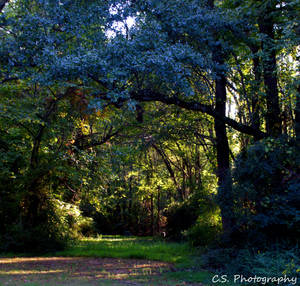 Faery Land