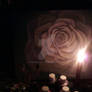 Darkness of a rose