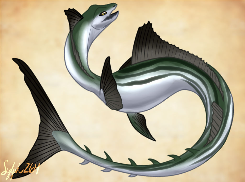 Bonito Dragon- Merdragon Mermay by Sylph264 on DeviantArt