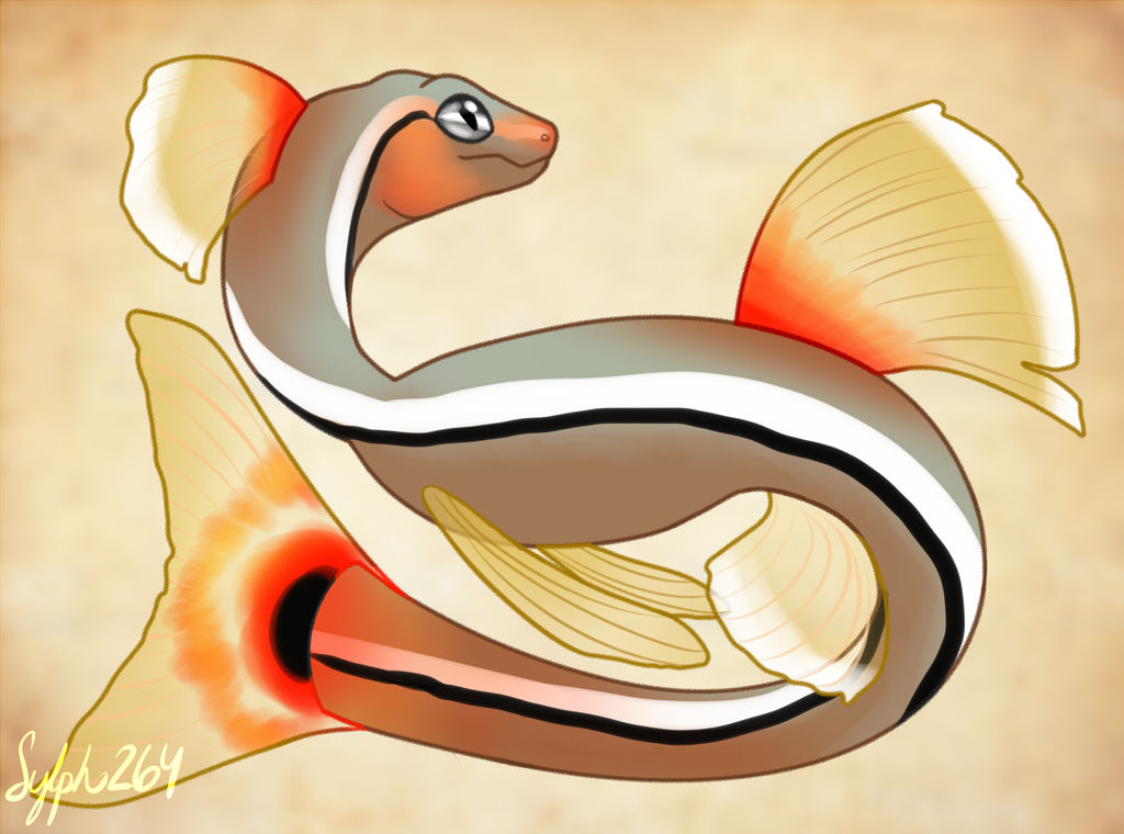 Cloud Mountain Minnow Dragon- Merdragon Mermay by Sylph264 on DeviantArt