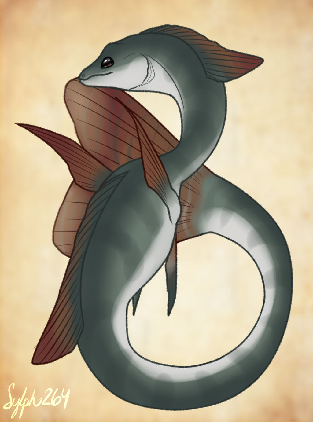 Tilapia Dragon- Merdragon Mermay by Sylph264 on DeviantArt