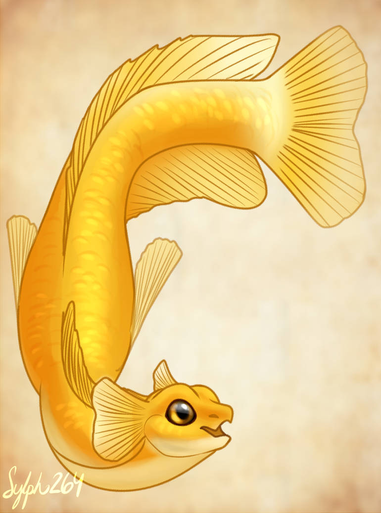 Honey Gourami Dragon- Merdragon Mermay by Sylph264 on DeviantArt