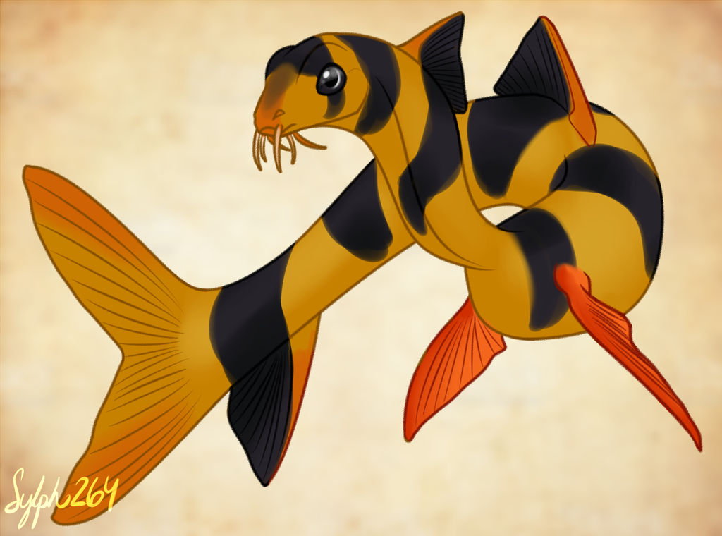Clown Loach Dragon- Merdragon Mermay by Sylph264 on DeviantArt