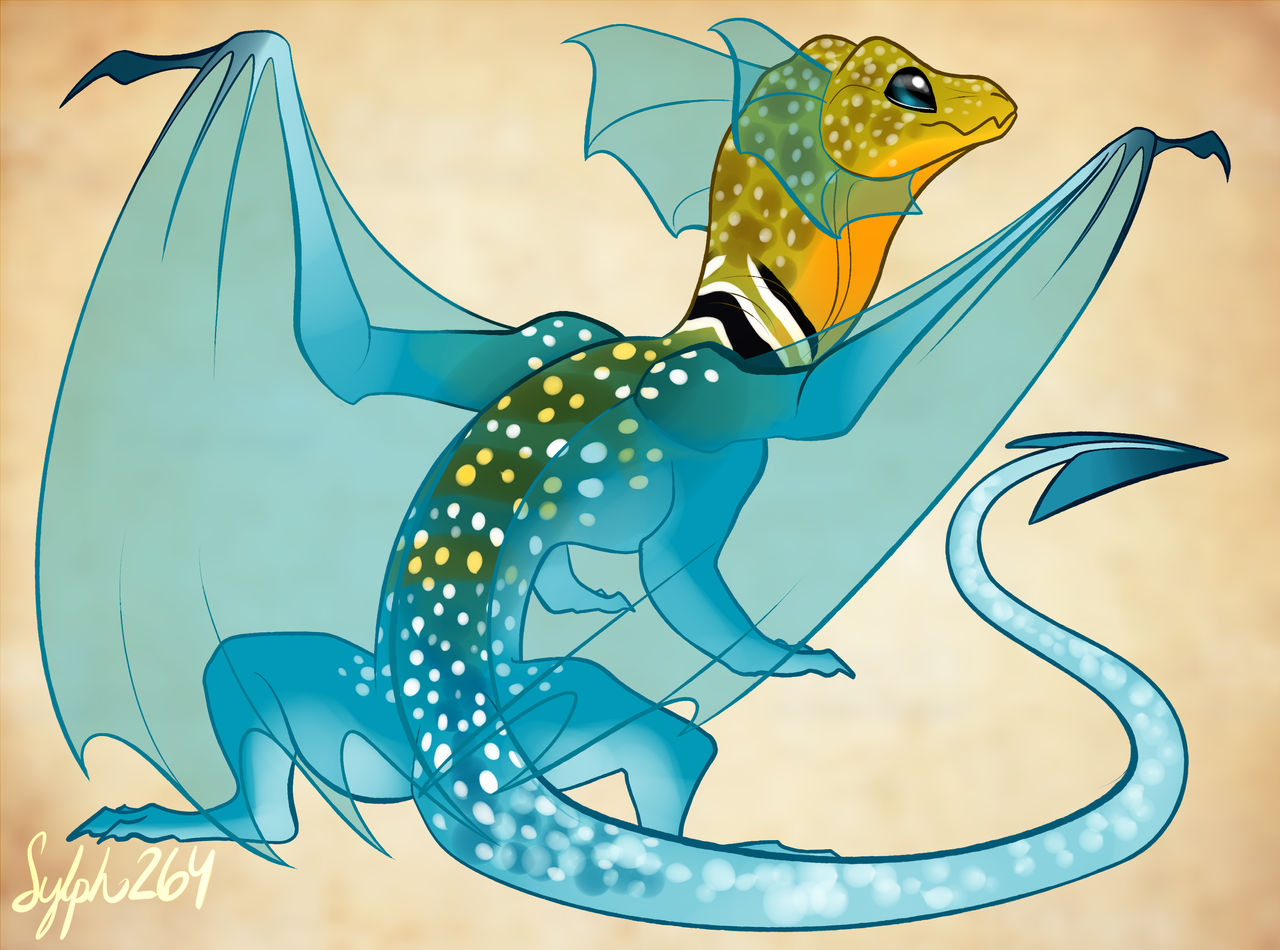 Common Collared Lizard Dragon by Sylph264 on DeviantArt