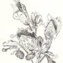 Dream Of Cut Flowers