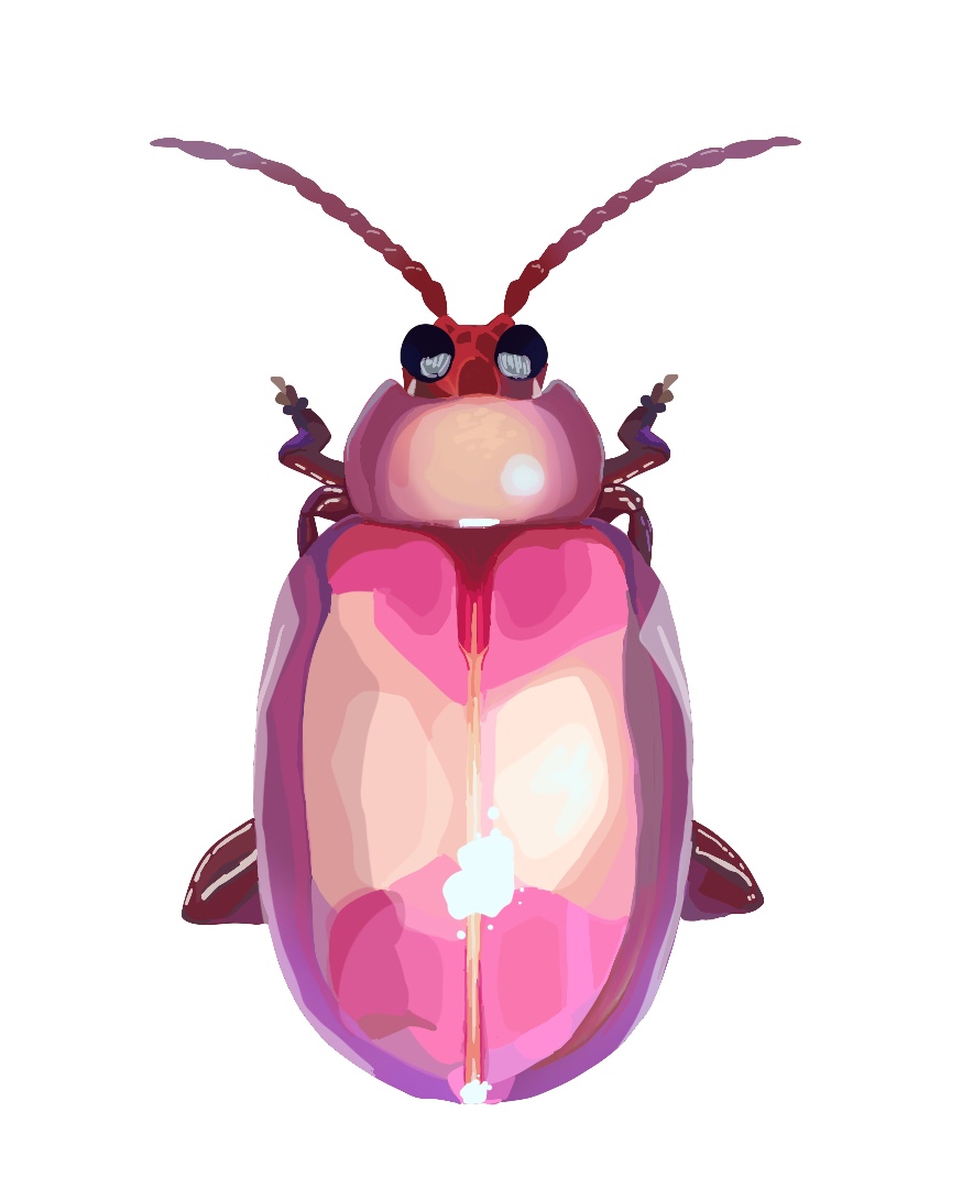 Minecraft Pink Bug Pink bug by pocketduststarr on DeviantArt