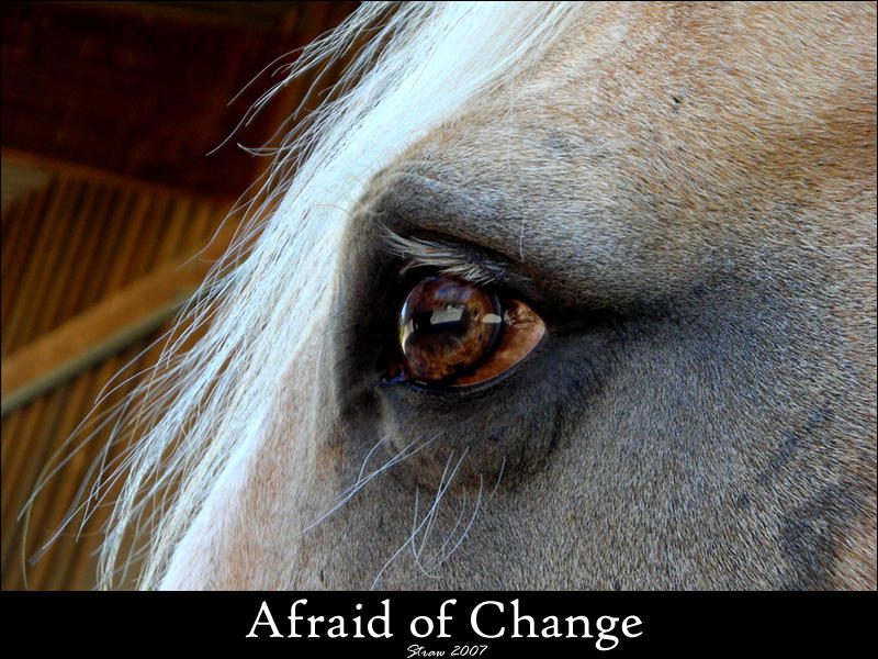 Afraid of Change