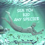 Ocean YCH (OPEN $20)