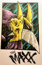 The Maxx