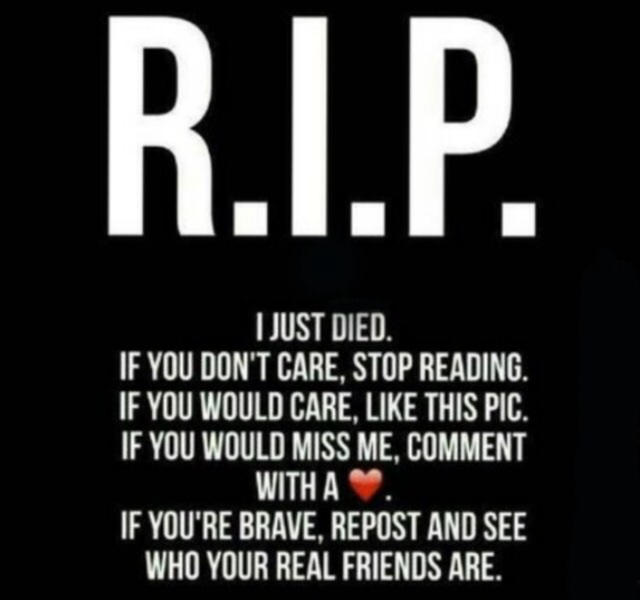 Your Rip Rip thing by FanArt20 on DeviantArt