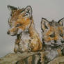 Foxes #2