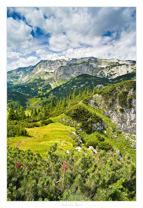 Buchbergkogel - 01