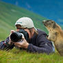 Me and the Marmot
