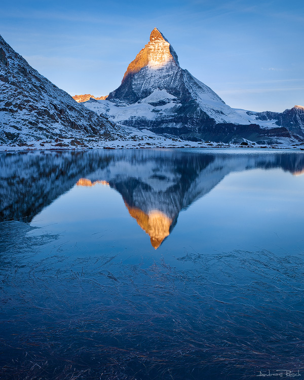 Frozen Shore