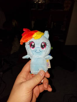 My Little Dashie