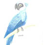 Spix macaw jewel recolour