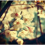 -Vintage Spring-