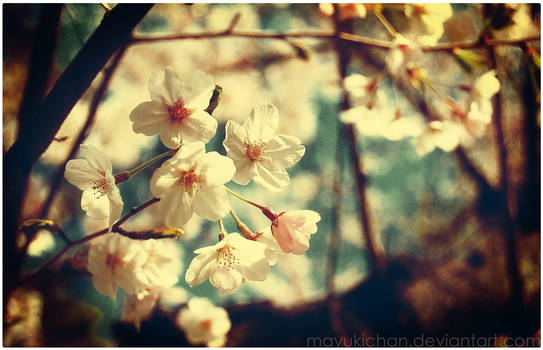 -Vintage Spring-