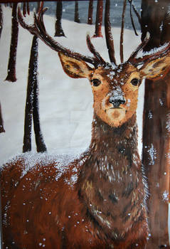 Deer in the snow