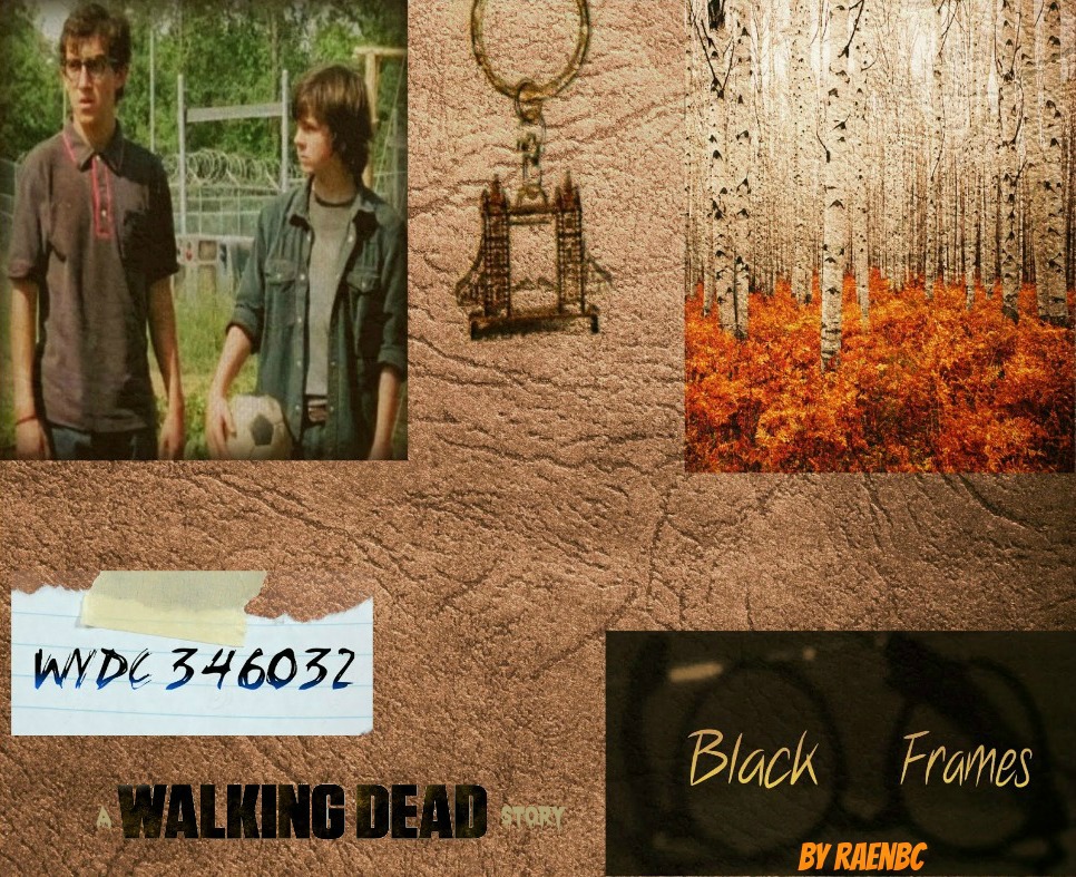 Black Frames:  A Walking Dead Story