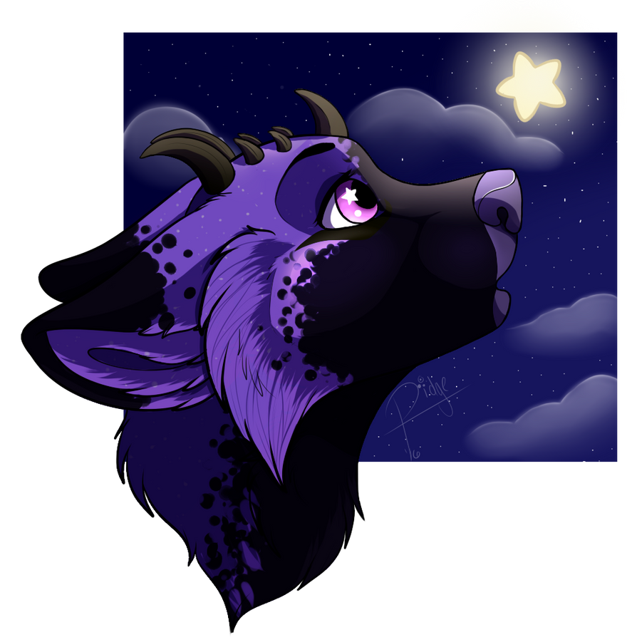 Starlight, star bright by Pigeon-Feathers on DeviantArt