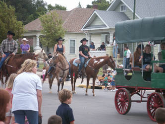 Parade Pony