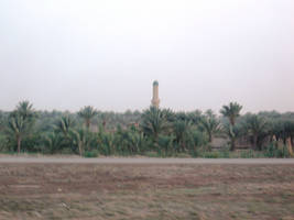 skyline in Iraq