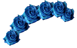 Coronita de flores azules by myeditionssofii on DeviantArt
