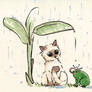 Panda : Funny Rainy Day