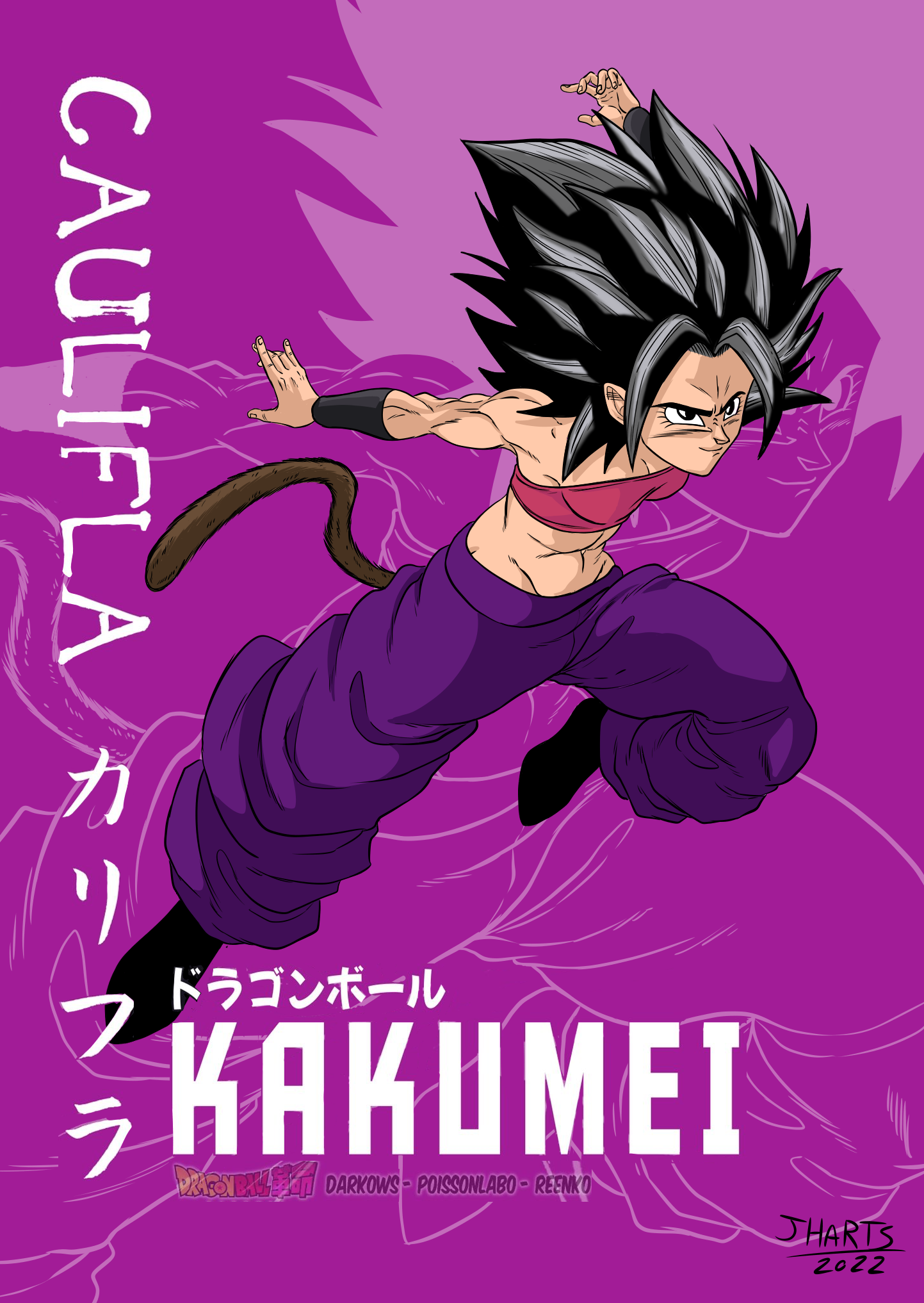 What is Dragon Ball Kakumei? Is it official or is it just a fan