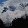 Yumthang Valley 5