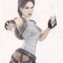 tomb raider anniversary