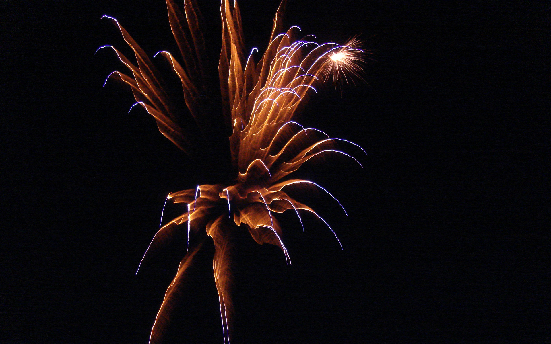 fireworks glowing blur